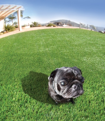 artificial turf for pets