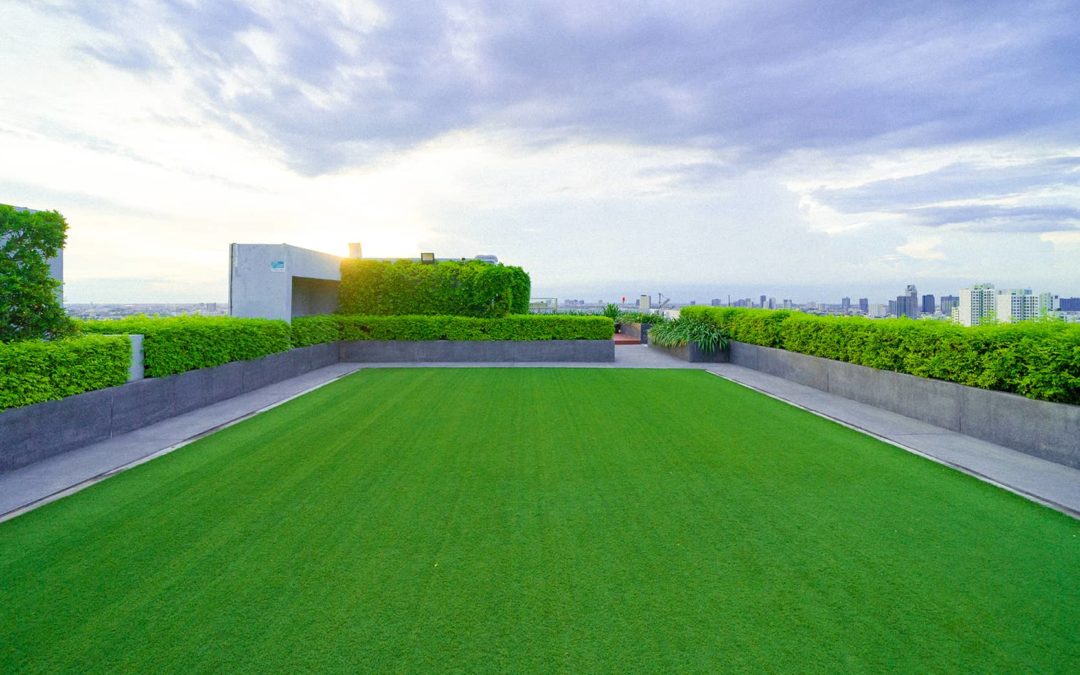 Rooftop Oasis Ideas from the Best Artificial Turf Installer in Santa Rosa
