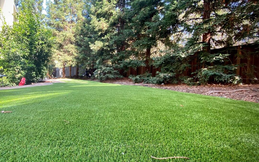 Ask an Artificial Grass Installer in Santa Rosa: Can You Install Synthetic Turf on Top of Real Grass?