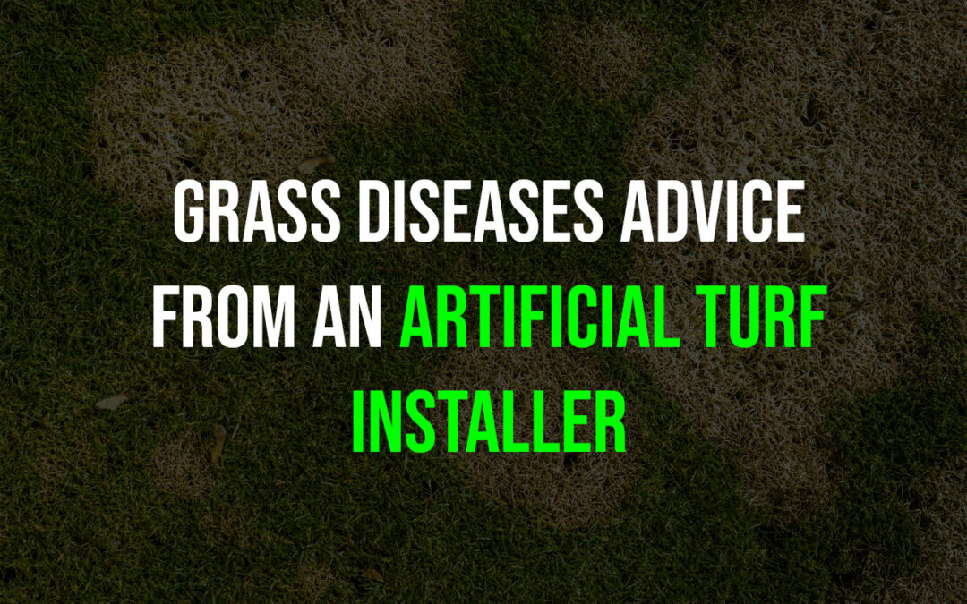 Artificial Turf Installer in Santa Rosa: 5 Fall Turf Diseases You Don’t Need to Worry About!