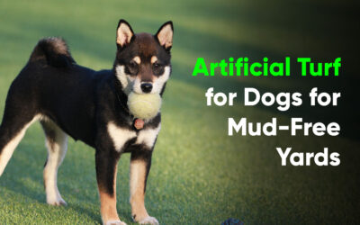 Does Artificial Turf for Dogs in Santa Rosa Get Muddy?