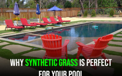 Landscaping Your Swimming Pool? Here’s Why You Should Use Synthetic Grass in Santa Rosa