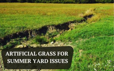 13 Summer Yard Problems That Artificial Grass in Santa Rosa, CA Solves