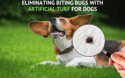 Biting Bugs No More: Deter Ticks and Fleas With Artificial Turf for Dogs in Santa Rosa